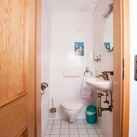 Aurelia, * שנברדינגן